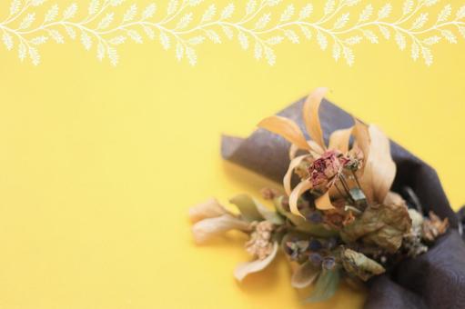 黄色い地に薔薇のドライフラワースワッグH 薔薇,ドライフラワー,スワッグの写真素材