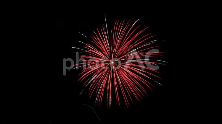 花火のイメージ 花火,fireworks,はなびの写真素材