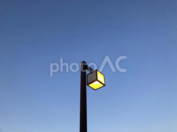 明け方の空と街灯 明け方,空,夜空の写真素材