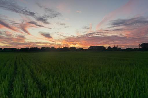 瓦葺の朝焼け 瓦葺の朝焼けの写真
