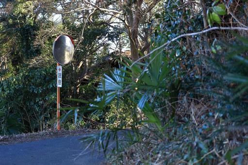 Photo, the way, road, curve, 