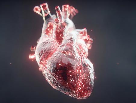 光に包まれた3Dの心臓モデル 光に包まれた3Dの心臓モデルの写真