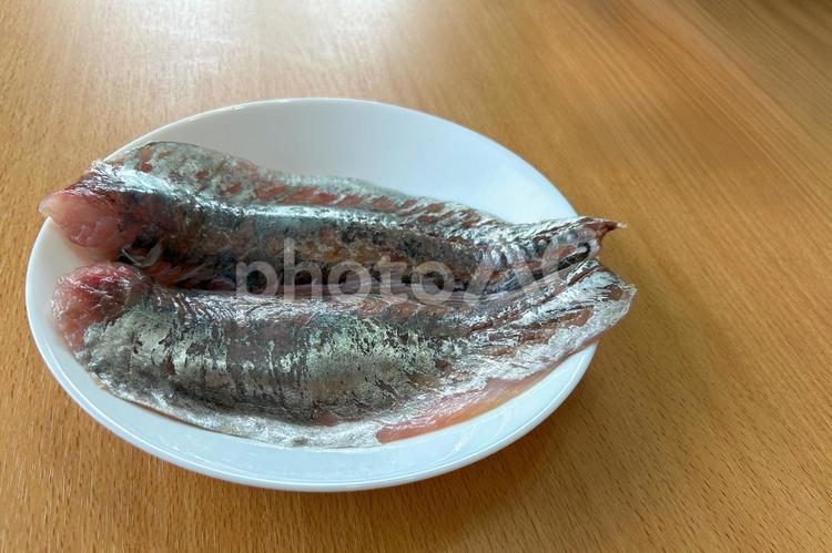新鮮なアジの三枚おろし（白い皿） アジ,真アジ,鯵の写真素材