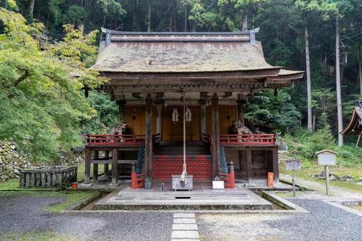 滋賀 日吉大社 西本宮 白山姫神社 本殿 滋賀 日吉大社 西本宮 白山姫神社 本殿 日吉大社,日枝社,日吉の写真素材