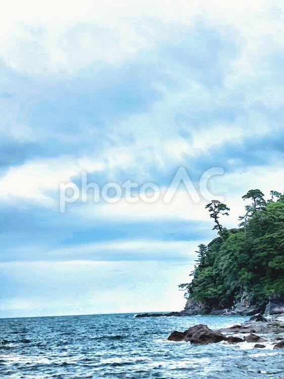海と崖の松 水域,自然,熱帯の写真素材
