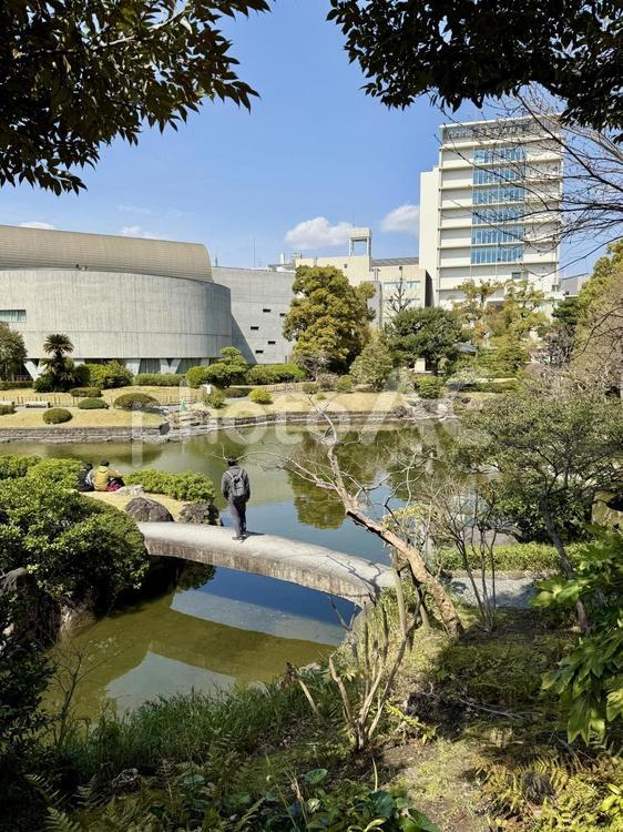 春の墨田区立旧安田庭園 侘び寂び,反射,春の写真素材