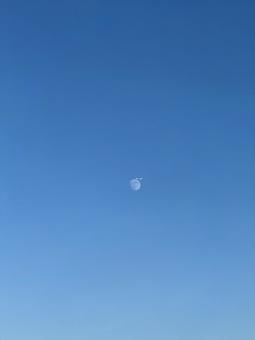 昼間の月と飛行機 飛行機,月,昼間の写真素材
