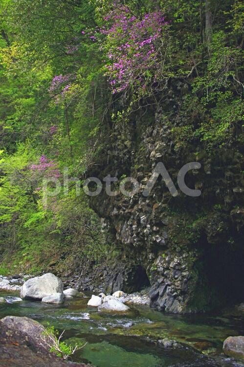 空気がフレッシュ、大自然の懐 川,岐阜県,小坂の滝の写真素材