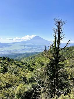 夏色に染まる山と富士山 夏色に染まる山と富士山の写真