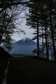 山梨県河口湖町から望む初夏の富士山 富士山,河口湖町,山梨県の写真素材