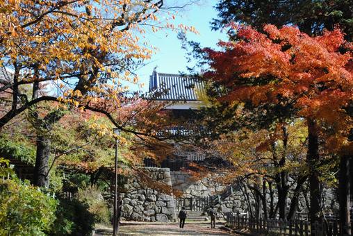 信州上田市 上田城跡公園の紅葉 信州上田市 上田城跡公園の紅葉の写真