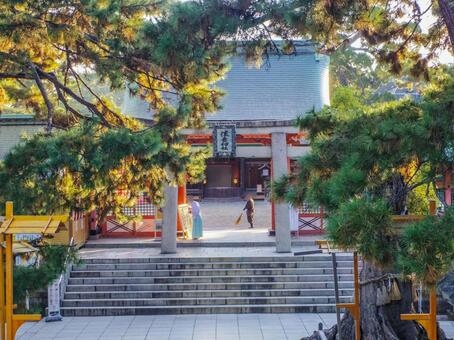 【大阪府】大阪市・住吉大社 住吉大社,寺社仏閣,神社の写真素材