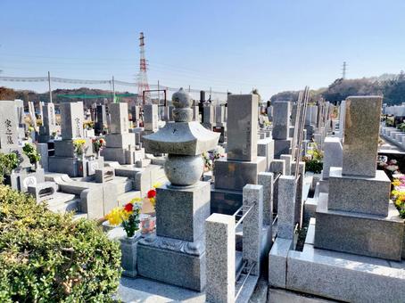 墓地 墓地の写真