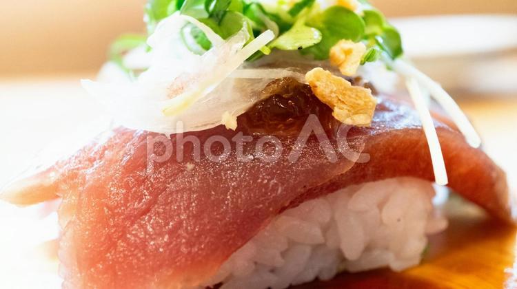 カツオのにぎり寿司 カツオ,にぎり寿司,寿司の写真素材