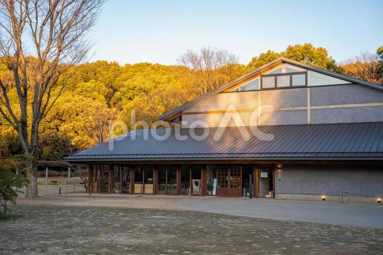 東京都　渋谷区　冬の代々木公園 代々木公園,公園,渋谷の写真素材