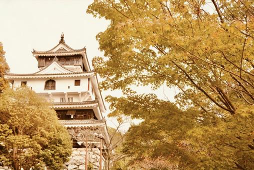 秋の岩国城2025 岩国城,秋,紅葉の写真素材