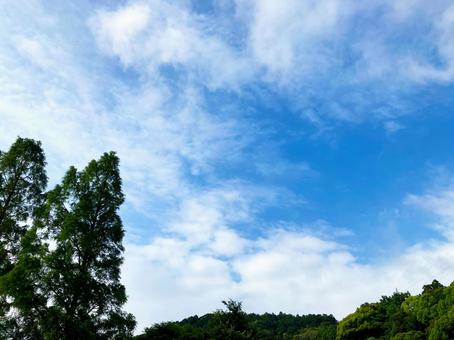 空と山と木のある風景 空と山と木のある風景の写真
