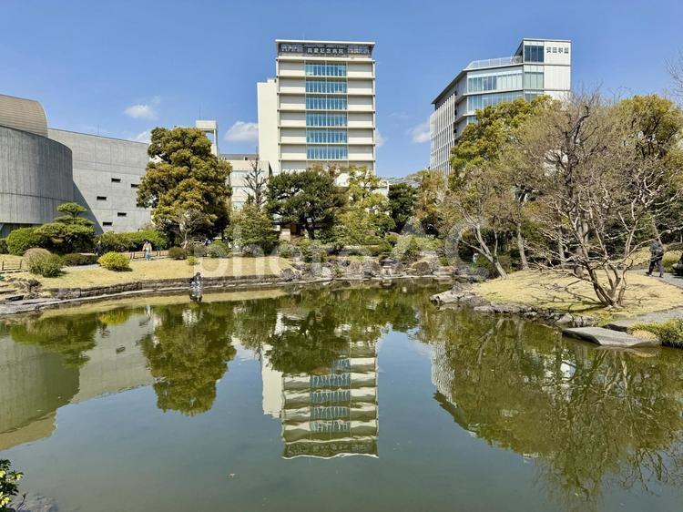 春の墨田区立旧安田庭園 春,潮入の池,隅田川の写真素材