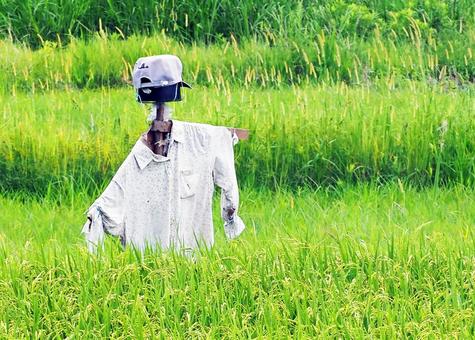 「田んぼを守り隊」隊長さん 「田んぼを守り隊」隊長さんの写真