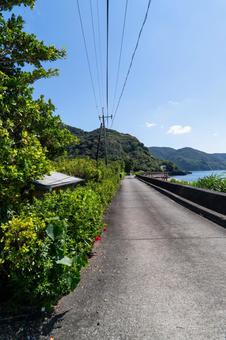 加計呂麻島　須子茂の風景 鹿児島県,奄美大島,瀬戸内町の写真素材