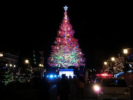 クリスマスツリーのライトアップ もみの木,12月,ライトアップの写真素材