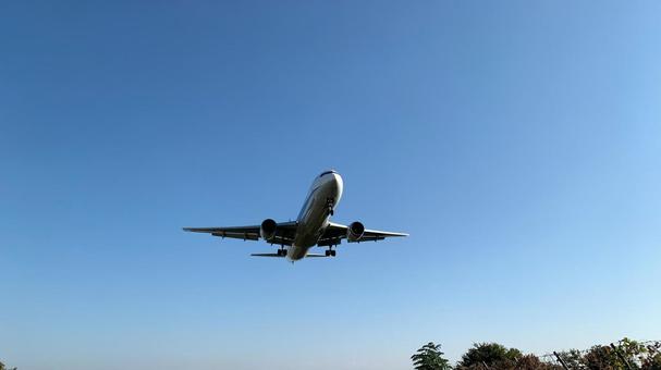 伊丹空港 着陸する旅客機 伊丹空港 着陸する旅客機 飛行機,旅客機,伊丹空港の写真素材