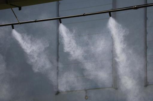 ミストシャワーの出る町 ミストシャワーの出る町の写真