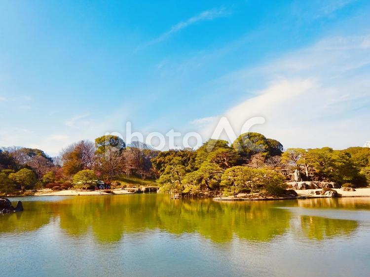 六義園の絶景とブルースカイ 青空,空,ブルースカイの写真素材
