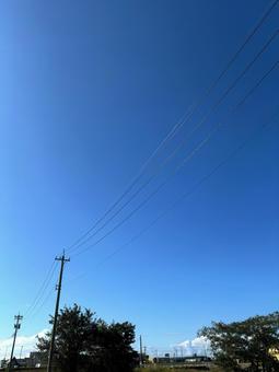 青空、木、電柱、電線の写真