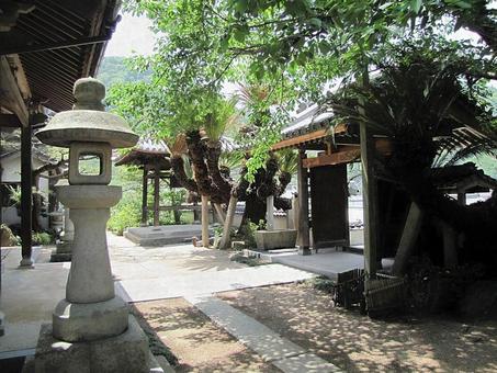 【風景写真】地蔵院(広島県尾道市)の風景 【風景写真】地蔵院(広島県尾道市)の風景の写真
