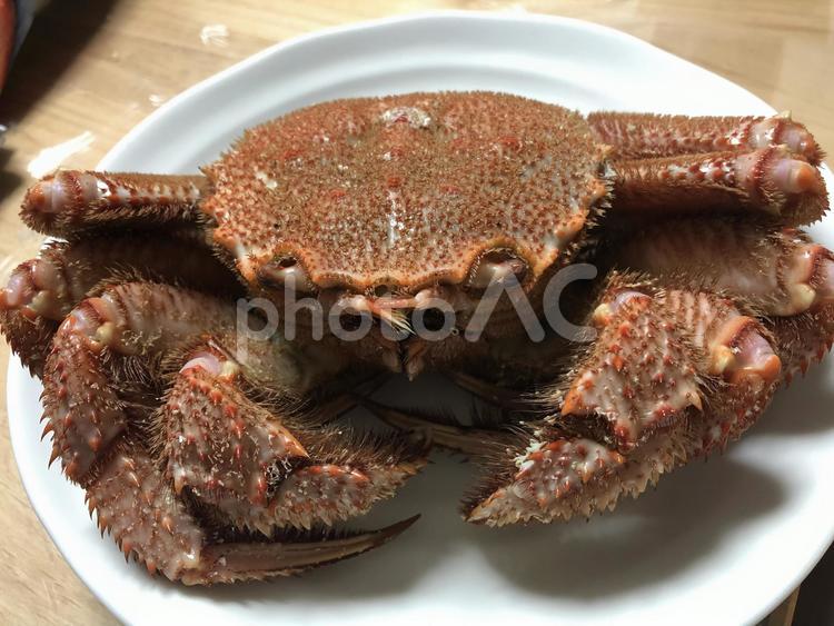 ファイティング毛蟹 毛蟹,茹で蟹,海の味覚の写真素材