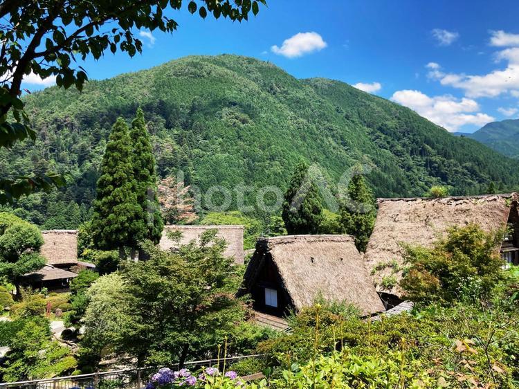 藁葺き屋根の住宅 藁葺き屋根,日本家屋,合掌村の写真素材