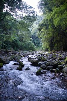 岩戸川 宮崎県 高千穂 岩戸川 宮崎県 高千穂の写真