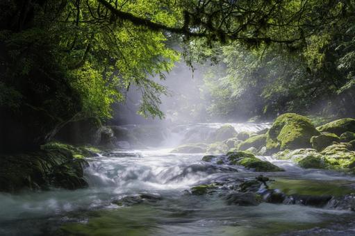 熊本-【菊池渓谷の光芒】 熊本-【菊池渓谷の光芒】 熊本,菊池渓谷,川の写真素材