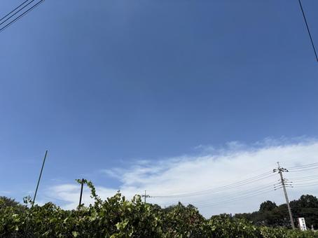 空 空の写真