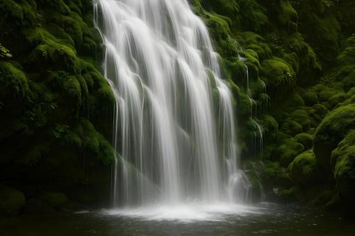 苔むす静寂の滝 苔むす静寂の滝の写真