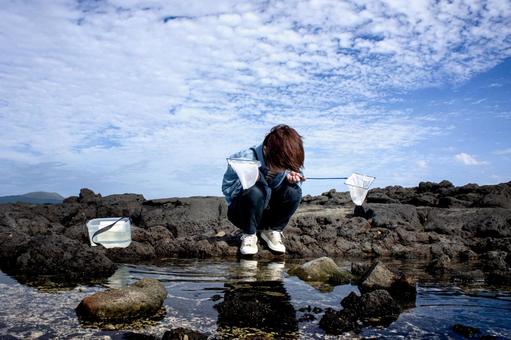 ＜素材＞磯でガサガサ（小魚捕獲）する女性 女性,磯遊び,海の写真素材