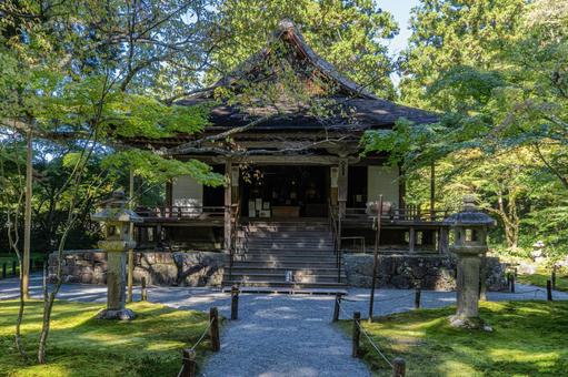 京都 大原三千院 往生極楽院 京都 大原三千院 往生極楽院 三千院,門跡寺院,大原の写真素材