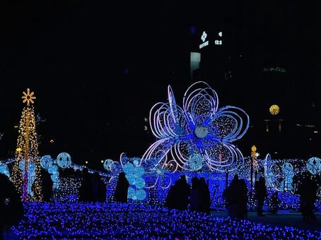 大通公園 ライトアップ,街の灯り,札幌の写真素材