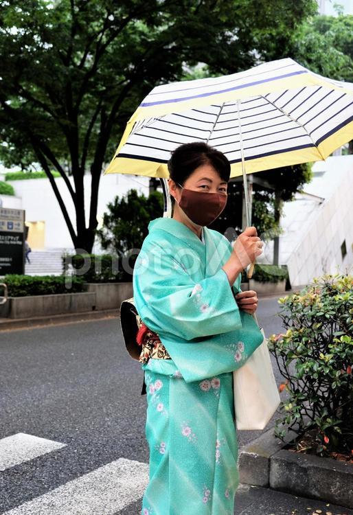 傘をさして横断歩道を渡る着物の女性 着物,女性,和服の写真素材