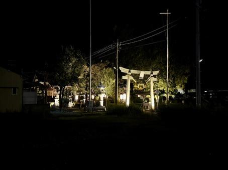 夜のあわら市　薬師神社 あわら市,夜景,庭の写真素材