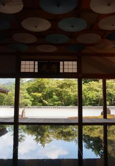 宝徳寺の床もみじ 宝徳寺の床もみじの写真