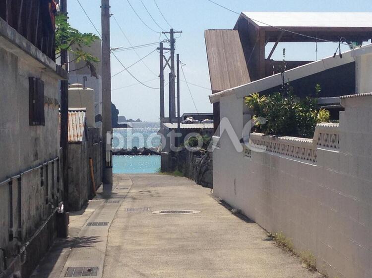 ビーチへと続く路地 ビーチ,海沿い,阿嘉島の写真素材
