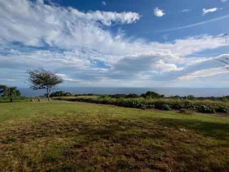 湘南平の公園と海 湘南平,高台,公園の写真素材