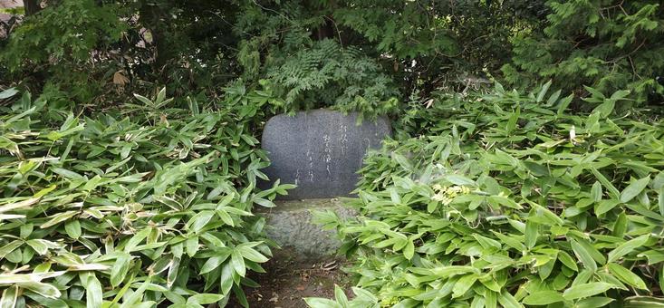 神炊館神社　風景 神炊館神社,神社,寺社仏閣の写真素材