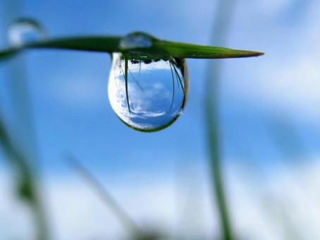 水滴と朝の光Water drops 水滴と朝の光Water dropsの写真