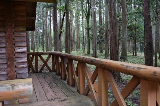 森林内に建つログハウス ログハウス,ログホーム,ログキャビンの写真素材