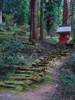 室生寺の境内 寺,参道,参拝の写真素材