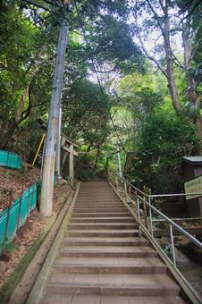 神戸市長田区 高取山の風景 神戸市長田区 高取山の風景 街並み,都会,青空の写真素材
