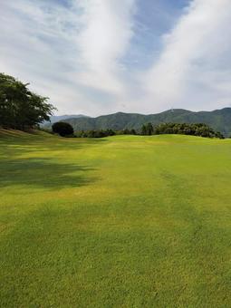Photo, grass, approach, golf, 